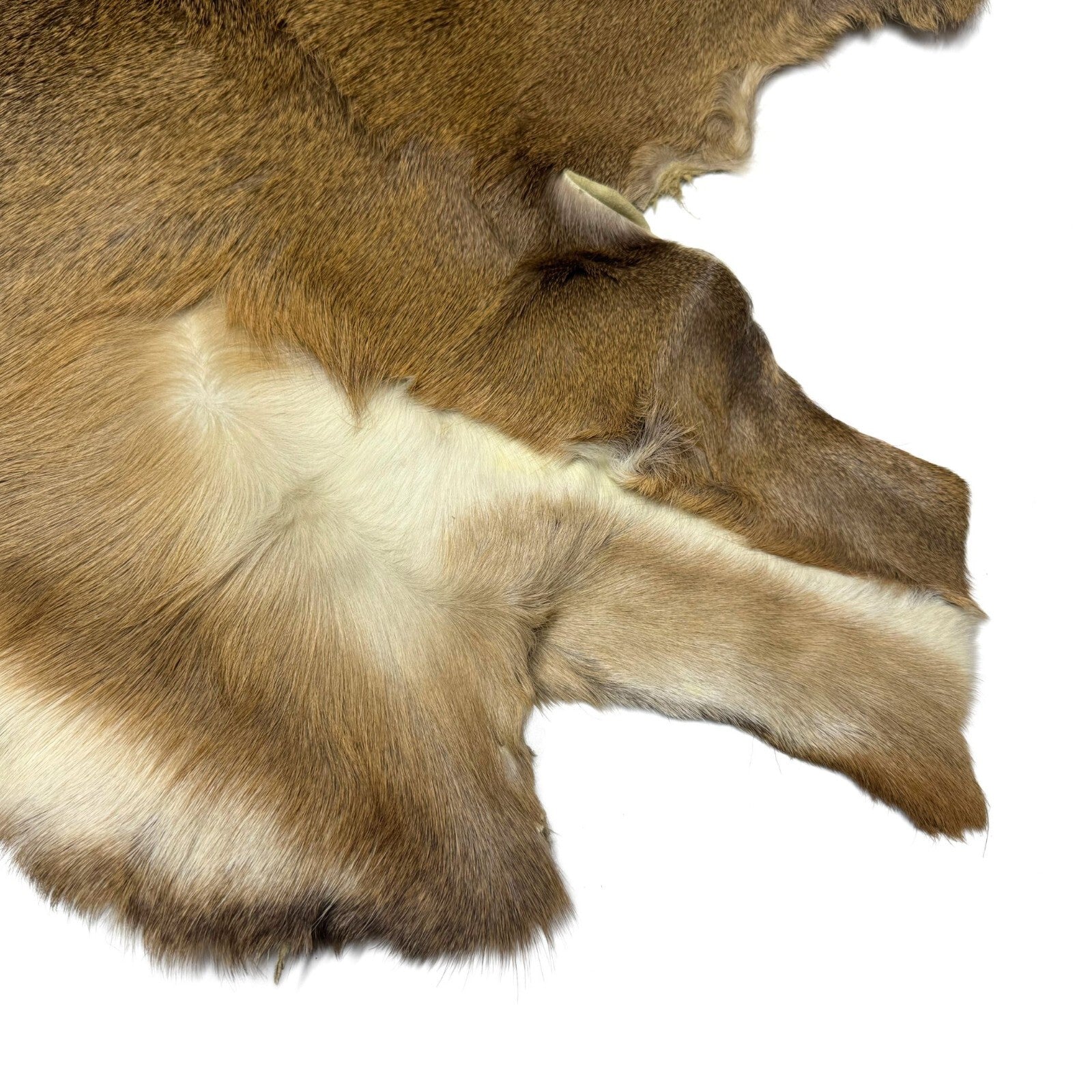 Hair On Deerskin Hide Rug - Tanned Deer Hide with Hair - Grade A