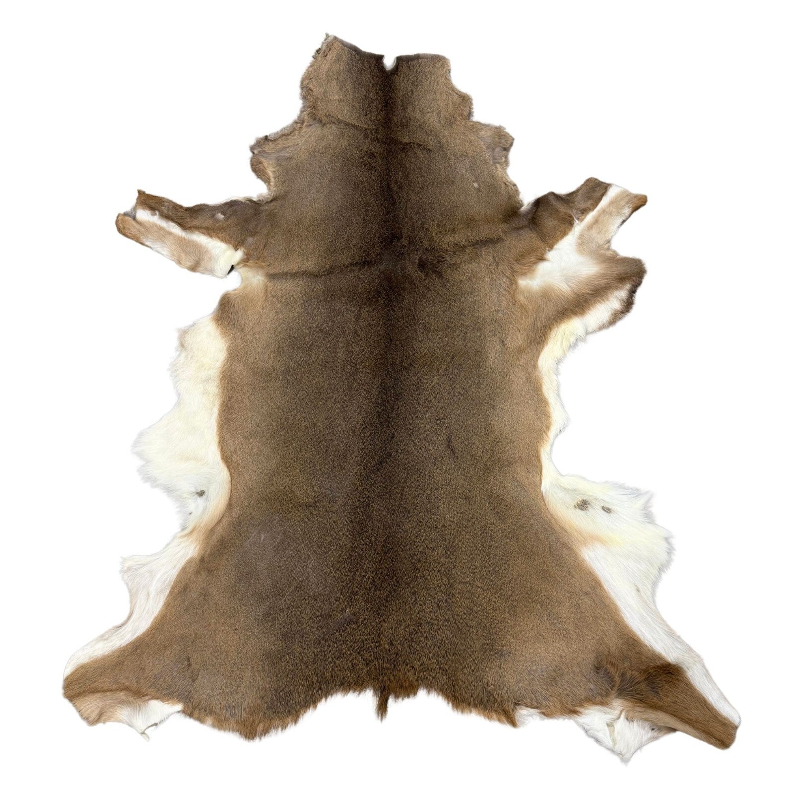 Hair On Deerskin Hide Rug - Tanned Deer Hide with Hair - Grade A